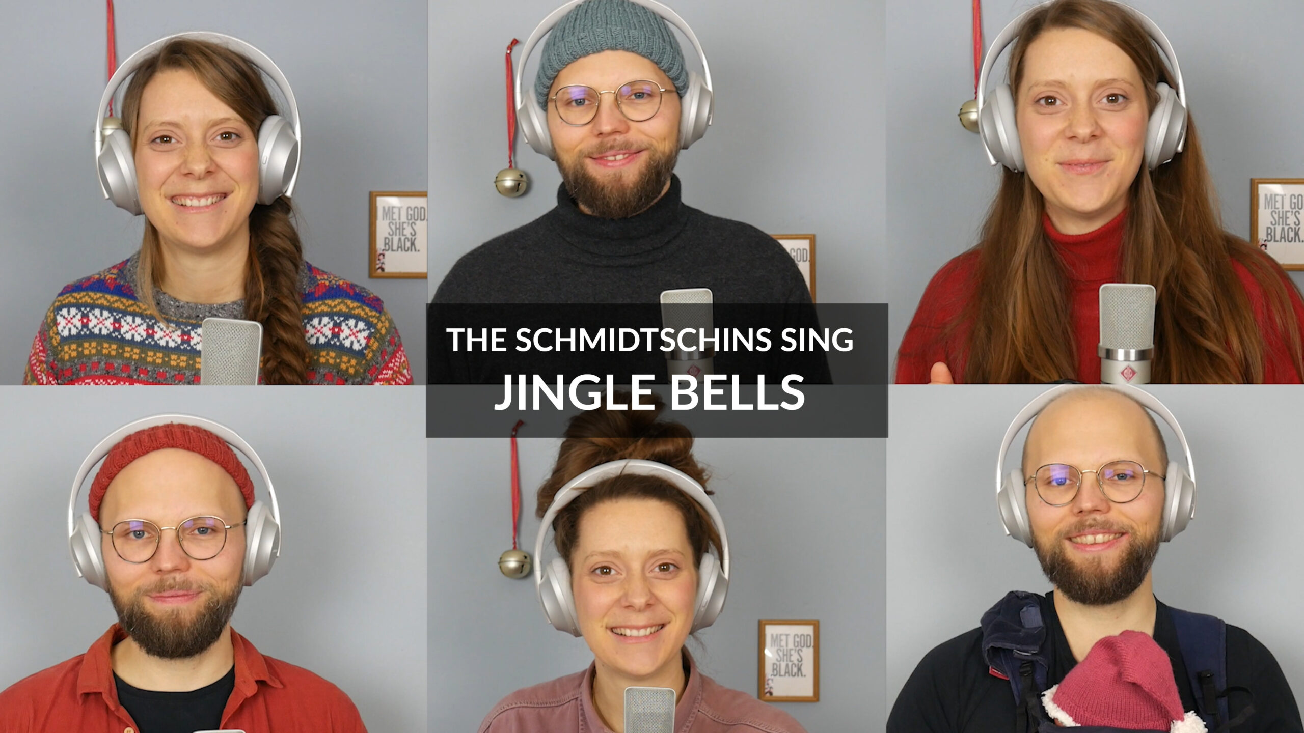 The Schmidtschins